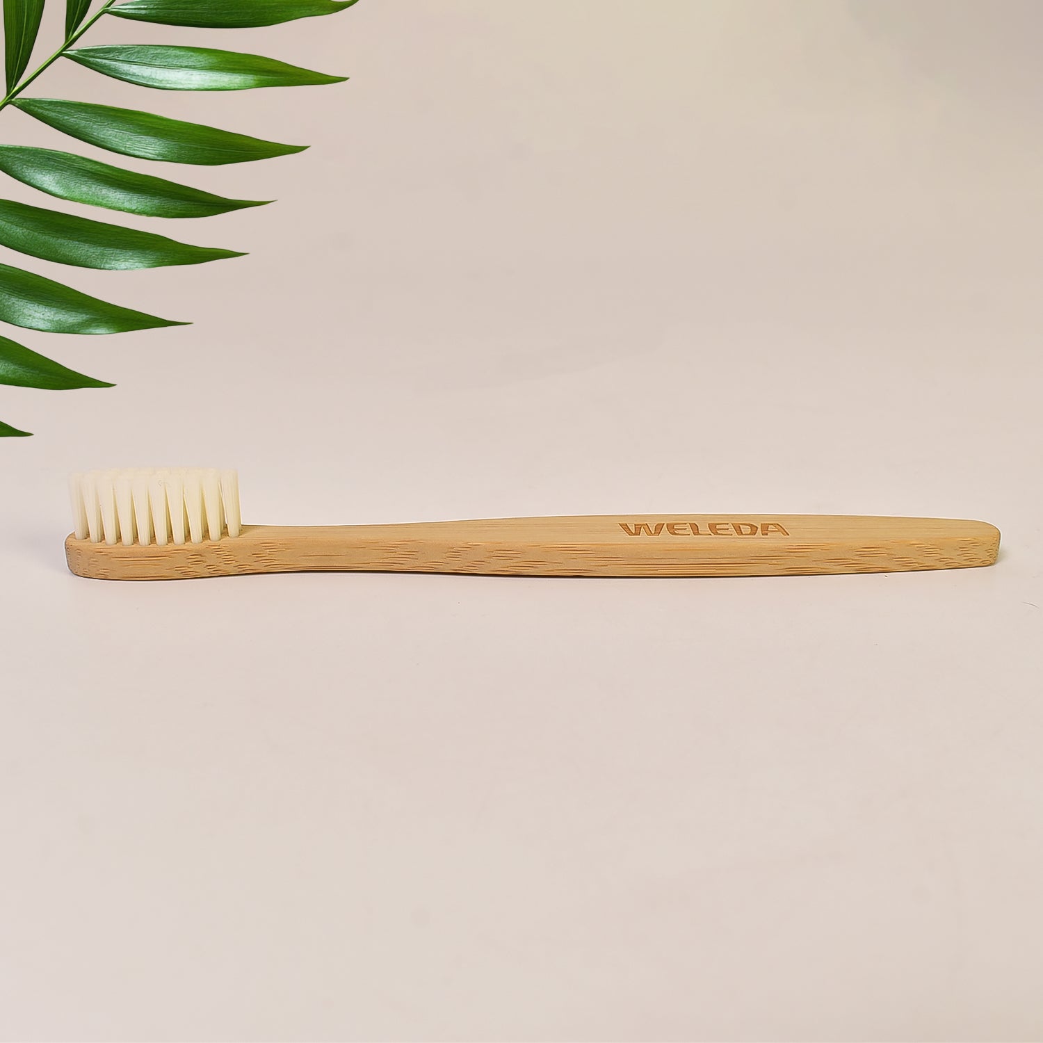 Ergonomic wooden handle of MintGuard bamboo toothbrush for comfortable grip