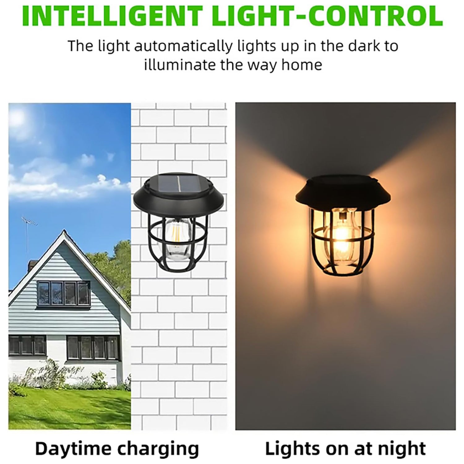 Solar lantern white bg