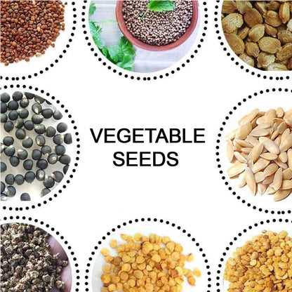 Mixed vegetable seed pack suitable for growing fresh veggies at home