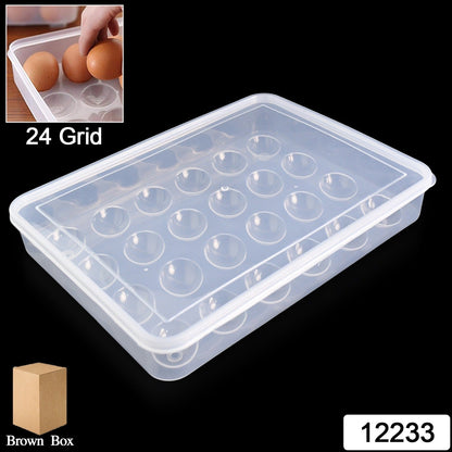 Top-down view of empty 24-grid clear plastic egg tray